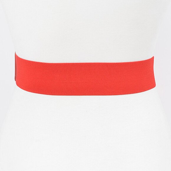 BNWT Metallic Double Buckle Elastic Fashion Belt Square Buckle Stretch Belt - Picture 3 of 6